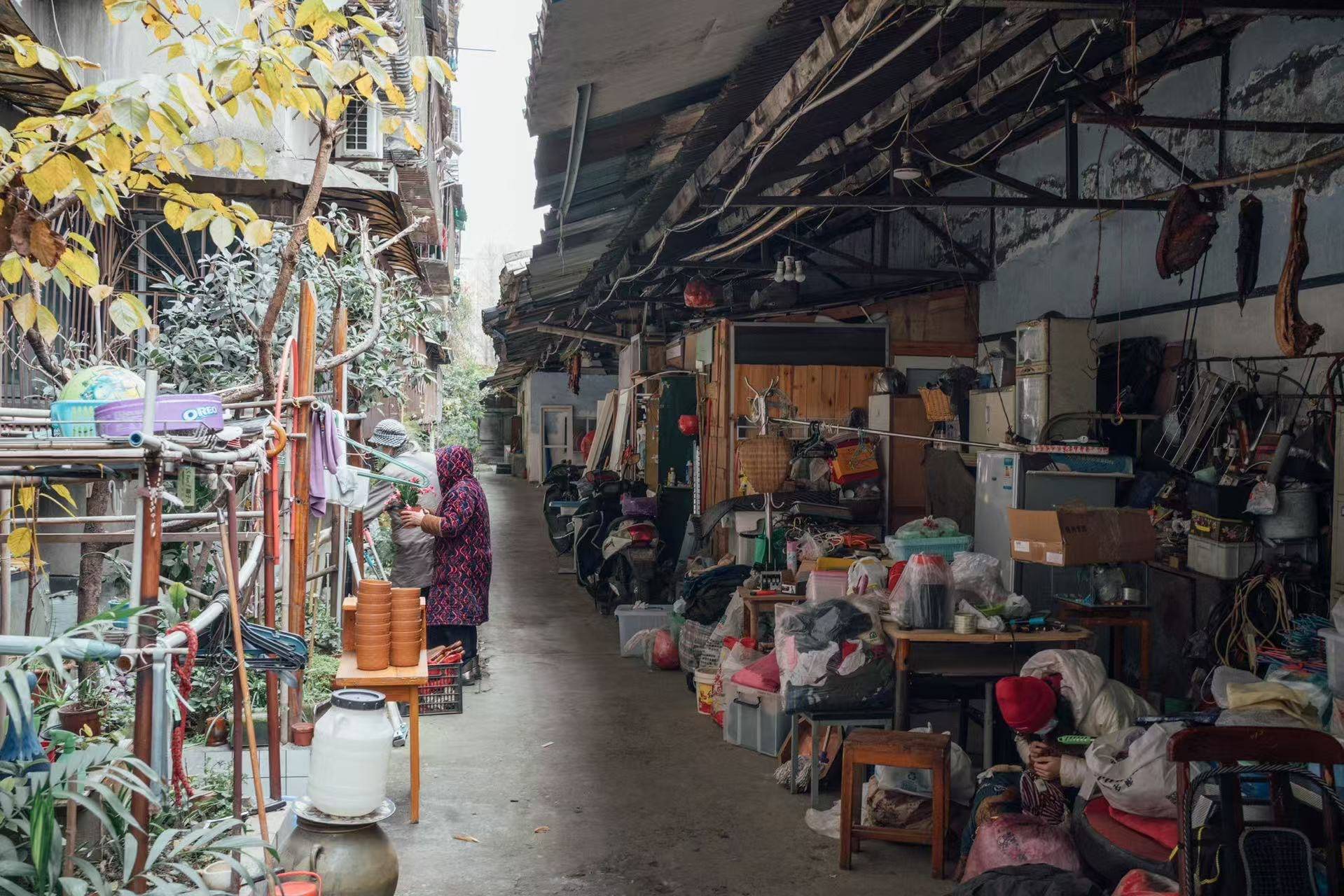 废车棚曾租住打工者 改成花园获设计金奖