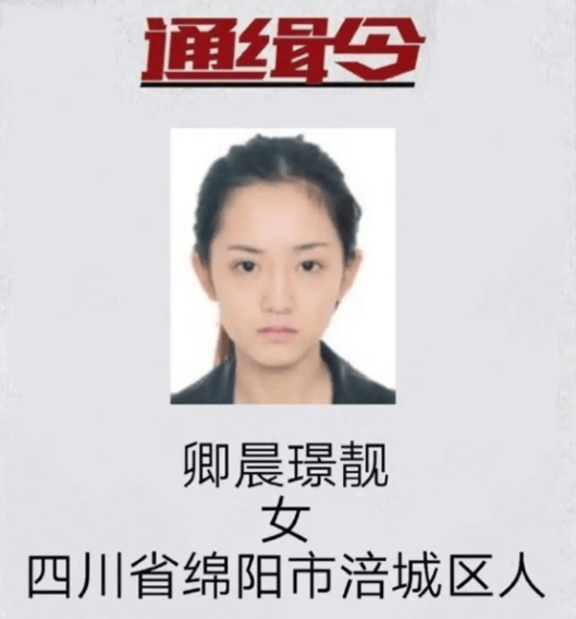 “最美通缉犯”出狱后开直播，坐过牢都成网红新赛道了
