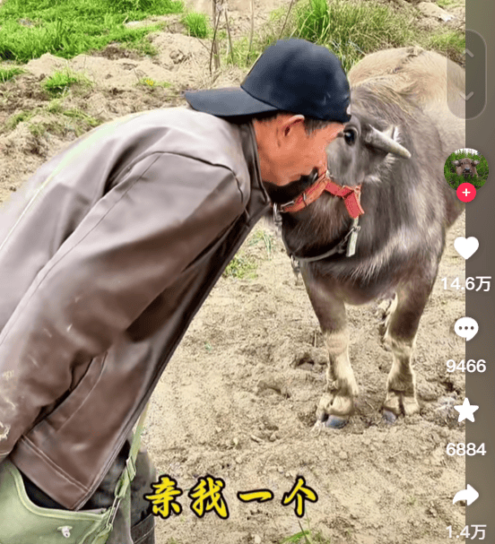 “最美通缉犯”出狱后开直播，坐过牢都成网红新赛道了