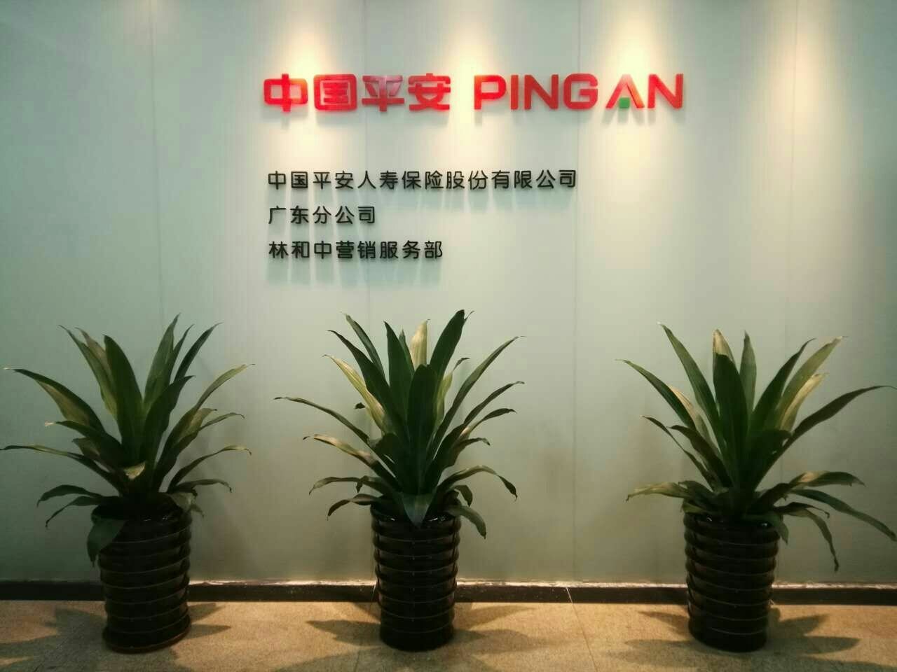 平安证券总部(平安证券总部在深圳哪里)
