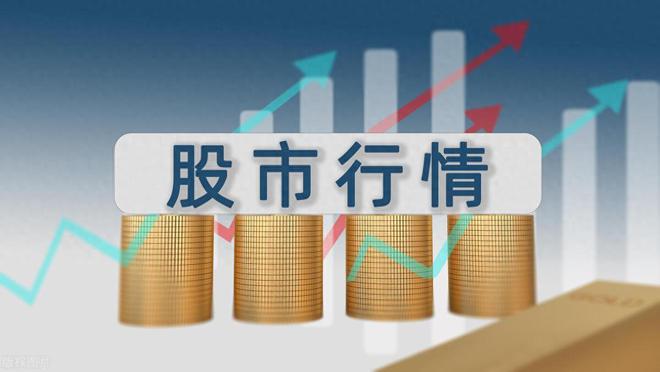 资本市场证券(资本市场证券的最大购买者)