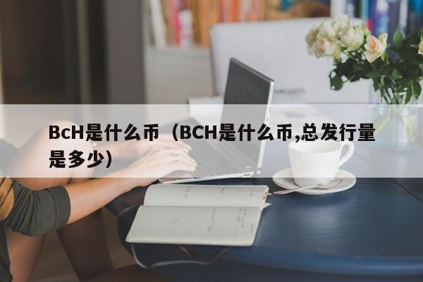 BCH-比特现金交易官网(比特现金bch升级最新消息)